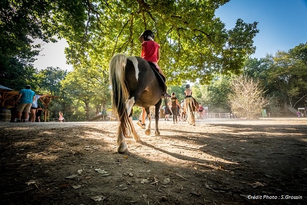 poney 2 ans