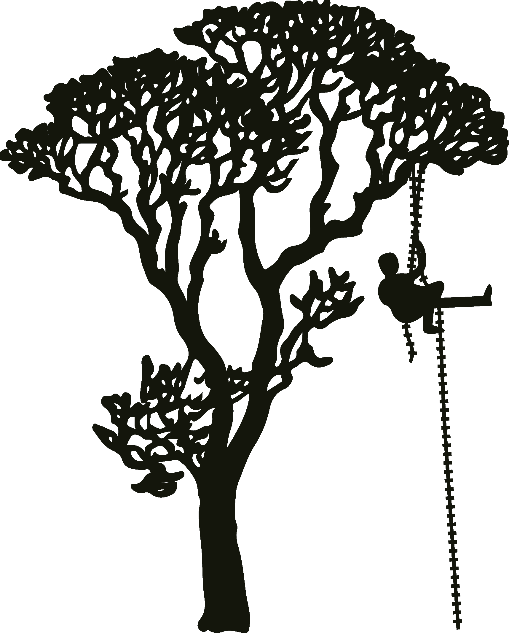 grimpe arbre